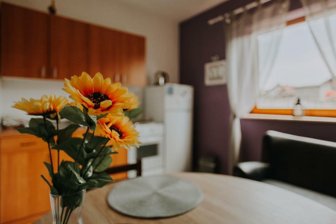 Apartmani Marin Vukovar Extérieur photo