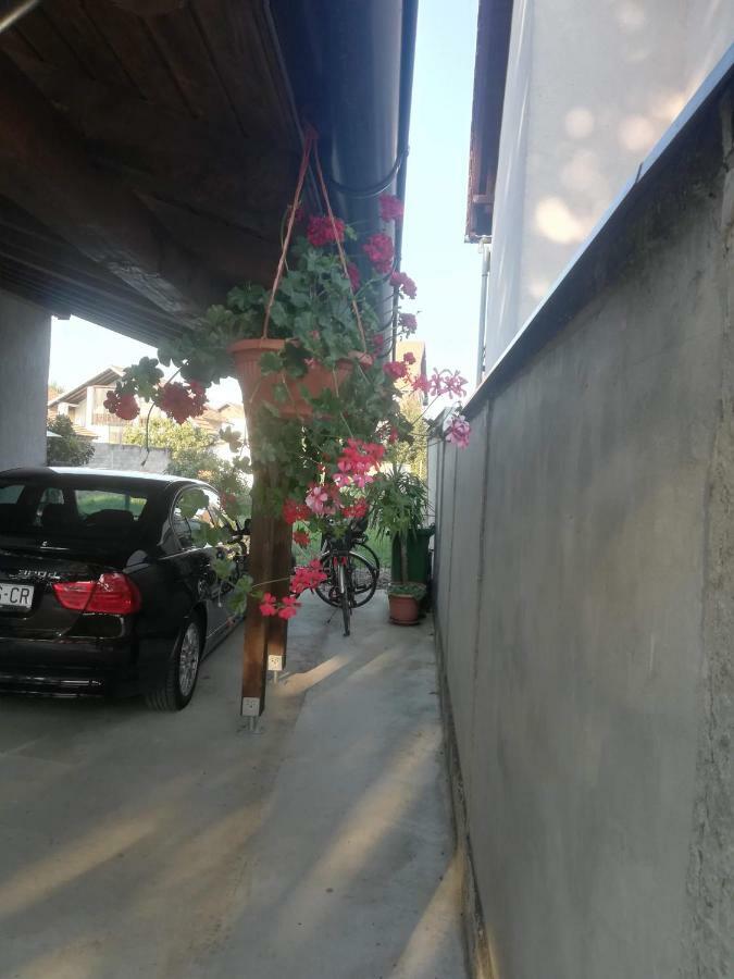 Apartmani Marin Vukovar Extérieur photo