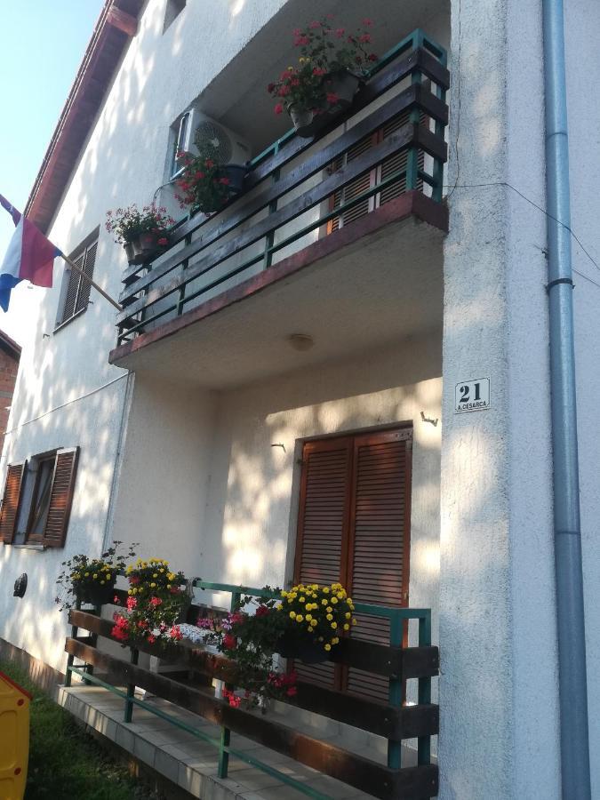 Apartmani Marin Vukovar Extérieur photo